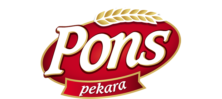 Pons