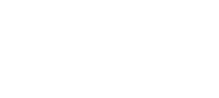 Stef Trans DOO